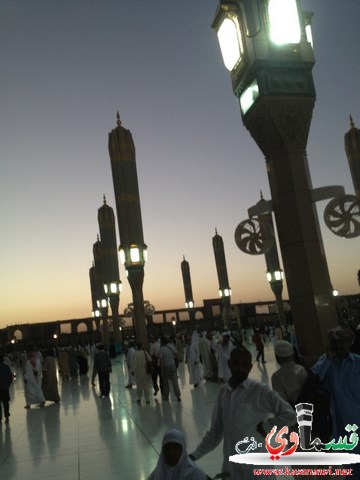 صور من داخل الحرم النبوي 